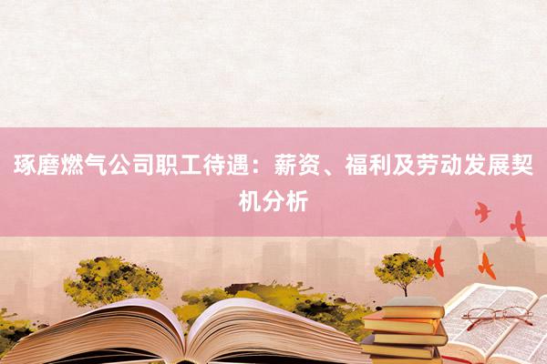 琢磨燃气公司职工待遇：薪资、福利及劳动发展契机分析